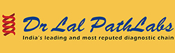 Packers and Movers Malda
